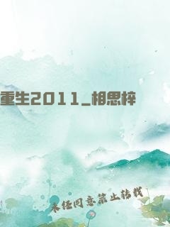 重生2011