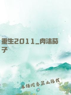 重生2011