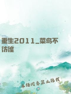 重生2011