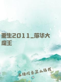重生2011