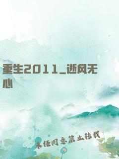 重生2011
