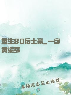 重生80后土豪