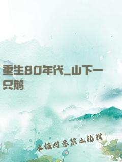 重生80年代