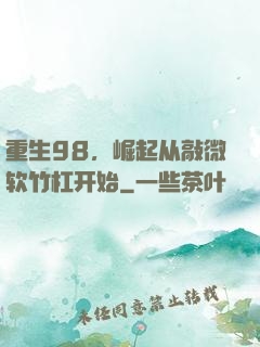 重生98，崛起从敲微软竹杠开始