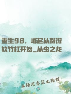 重生98，崛起从敲微软竹杠开始