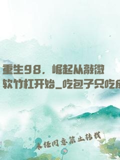 重生98，崛起从敲微软竹杠开始