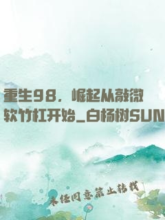 重生98，崛起从敲微软竹杠开始
