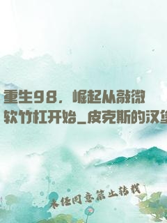 重生98，崛起从敲微软竹杠开始