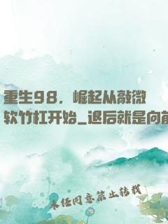 重生98，崛起从敲微软竹杠开始