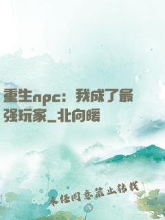 重生npc：我成了最强玩家