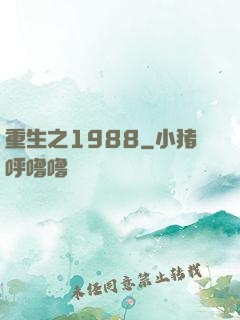 重生之1988
