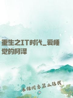 重生之IT时代