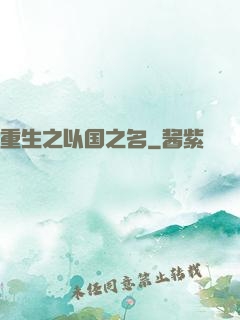 重生之以国之名