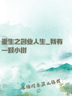 重生之创业人生