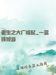 重生之大厂崛起
