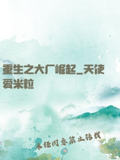 重生之大厂崛起