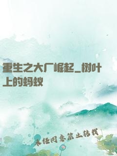 重生之大厂崛起