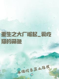 重生之大厂崛起