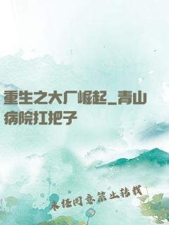 重生之大厂崛起