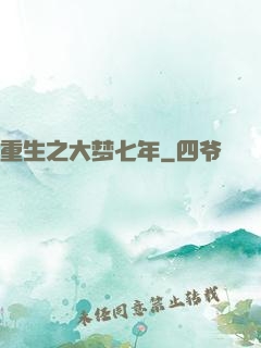 重生之大梦七年