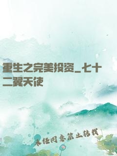 重生之完美投资