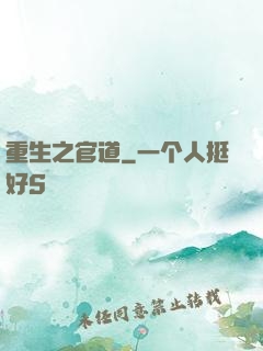 重生之官道