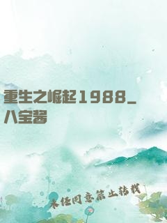 重生之崛起1988