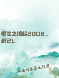 重生之崛起2008