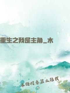 重生之我是主角
