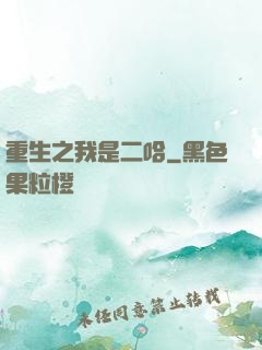 重生之我是二哈