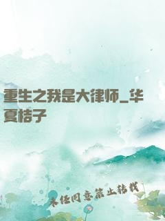 重生之我是大律师