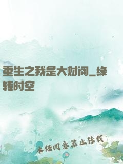 重生之我是大财阀