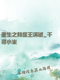 重生之我是王满银