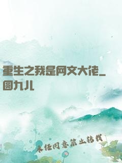 重生之我是网文大佬
