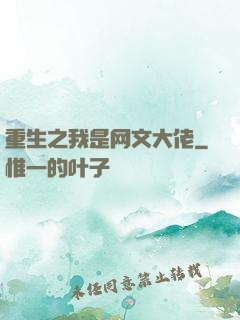 重生之我是网文大佬
