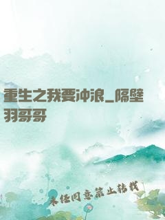 重生之我要冲浪