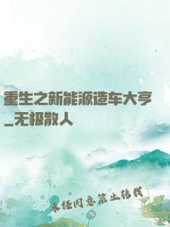 重生之新能源造车大亨