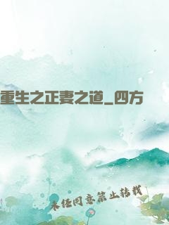 重生之正妻之道