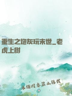 重生之炮灰玩末世