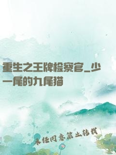 重生之王牌检察官