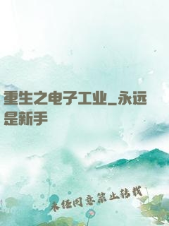 重生之电子工业