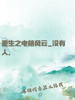 重生之电脑风云