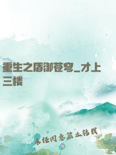 重生之盾御苍穹