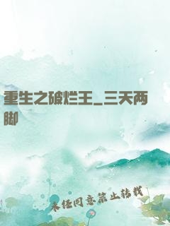 重生之破烂王