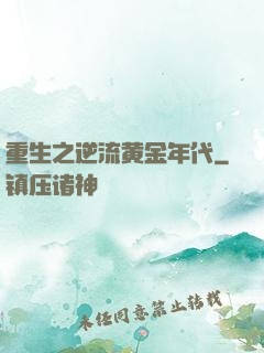重生之逆流黄金年代