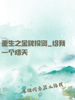 重生之金牌投资