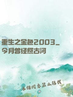 重生之金色2003