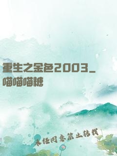 重生之金色2003
