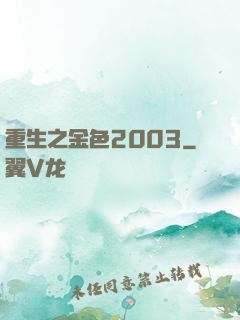重生之金色2003