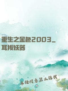重生之金色2003
